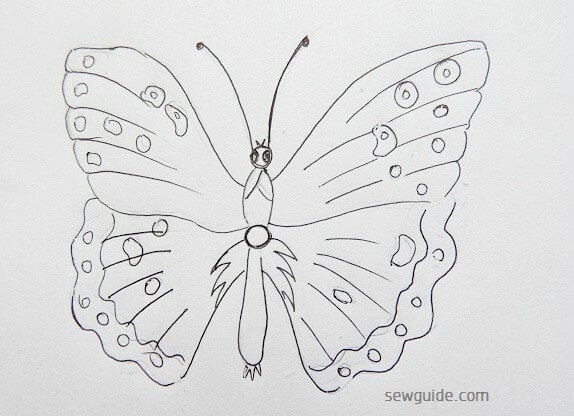 butterfly designs