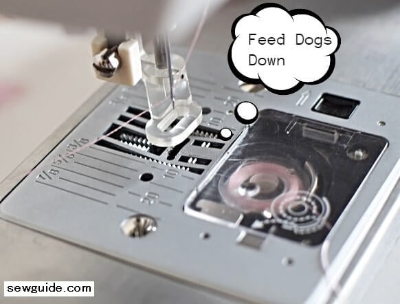 feed dogs down