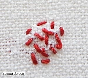 hand embroidery stitch 234 Seed stitch