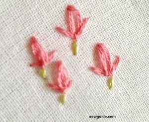 lazy daisy tulip flower