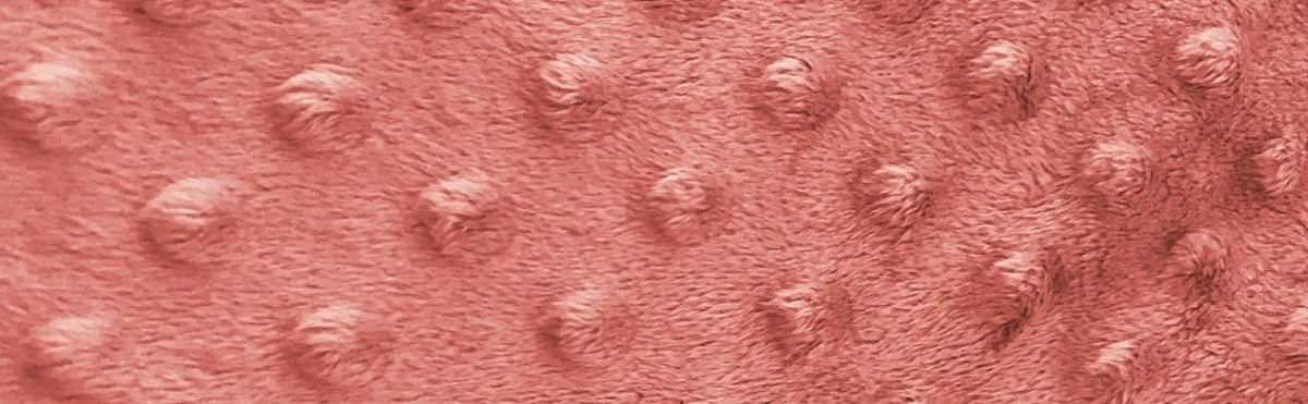 minky fabric with tiny bumps on the surface is called minky dots