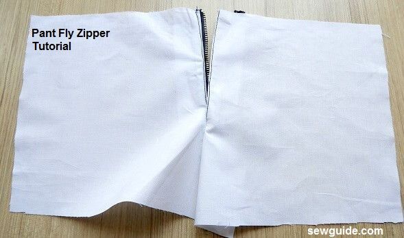 pant fly with zipper
