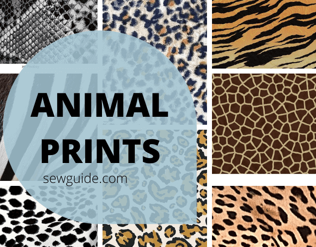 ANIMAL PRINTS