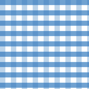 kinds of check patterns -cehquered weave